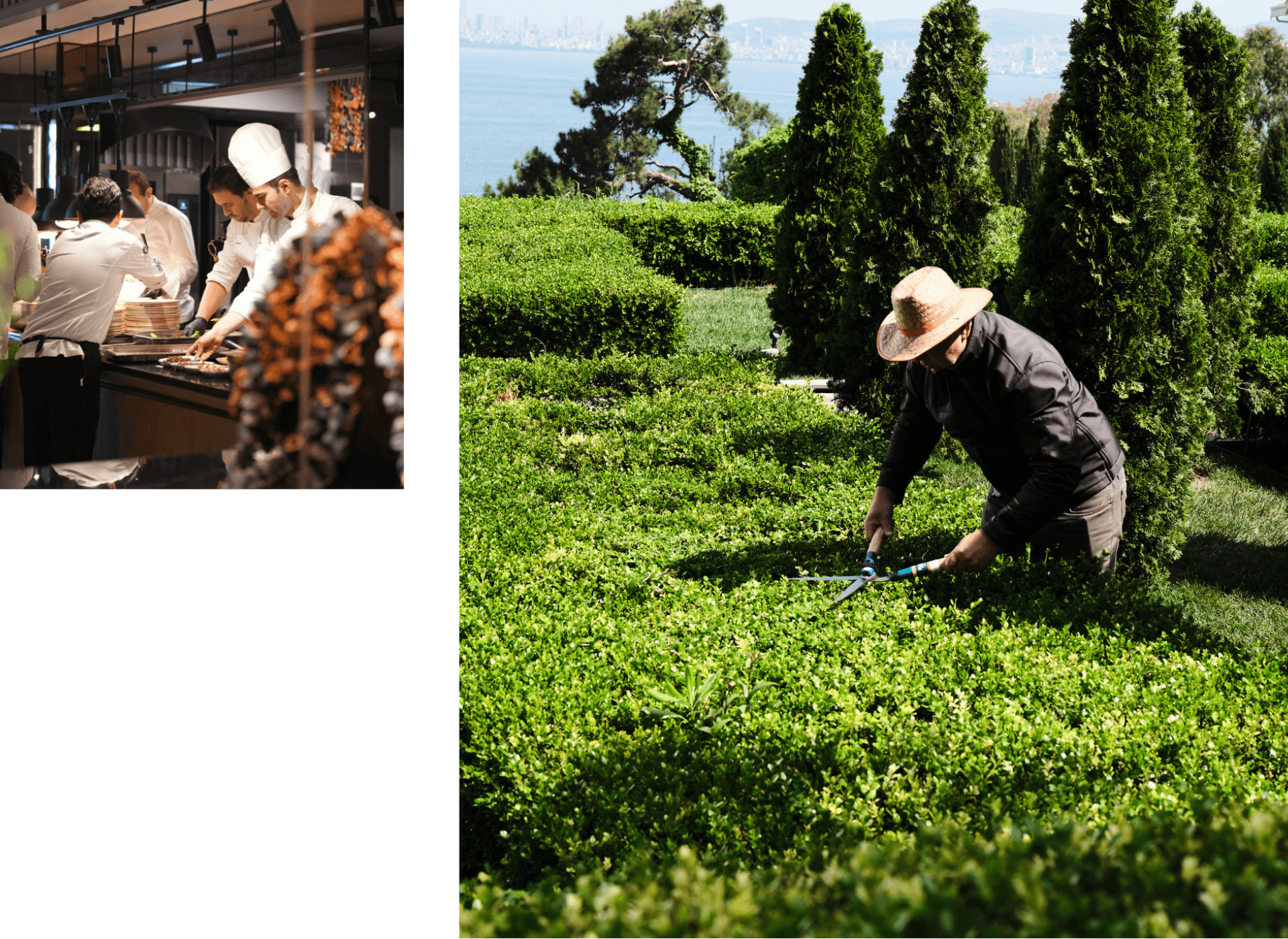 Stone farmhouse at Tenuta Ceccatelli surrounded by gardens and rolling Tuscan hills